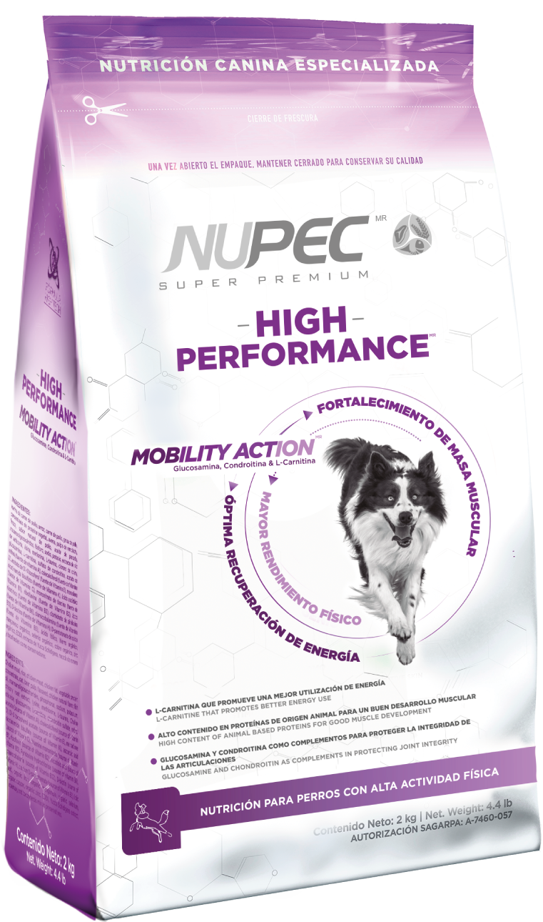 High Performance (Perro) |NUPEC