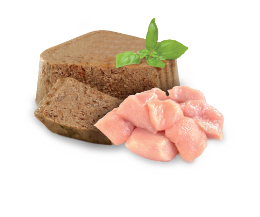 Alimento Húmedo Puppy | Nupec