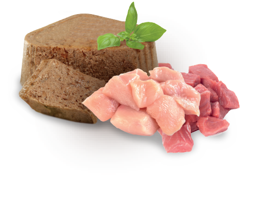 Alimento Húmedo Senior | Nupec