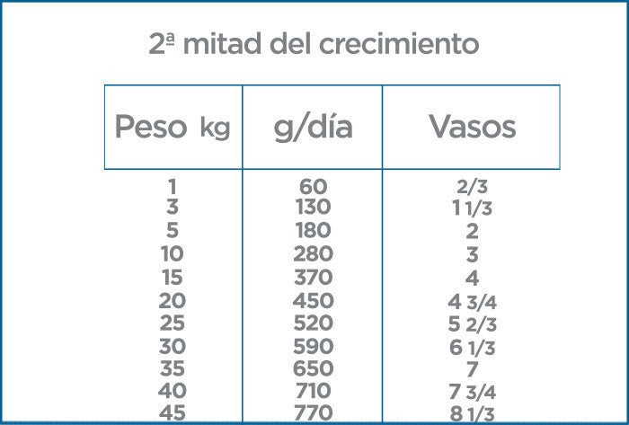 First Care (Perro) | NUPEC